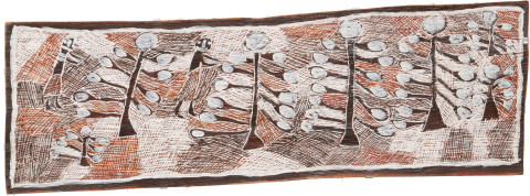 Nyapanyapa Yunupiŋu 2 Wendys 7 Wild Apple Trees, 2009; 3511K; Natural earth pigments on bark; 42 x 124 cm; enquire