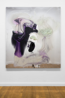 installation view; Dale Frank He worried that he might forget himself, a lapse in reality, obeying what others think is right, and to reach out to run his hand over the shape of the imagined possibility he hungered for, 2026; colour powder pigments in Epoxyglass, Epoxyglass, on perspex; 200 x 180 cm; enquire