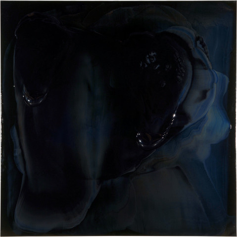 Dale Frank 14. Jason Priestly, 2007; varnish on canvas; 200 x 200 cm; enquire