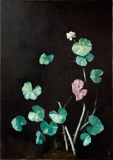 Glenn Sorensen Star, 2011; oil on canvas; 50 x 35.5 cm; enquire