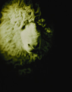 Tracey Moffatt Pet Thang #1, 1991; C-type print; 110 x 71 cm; Edition of 30 + 5 APs; enquire