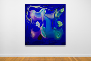 installation view; Dale Frank From previous encounters he had exhausted all possible reasons, every imaginable and amazingly unimaginable reasons as to why he could not have sex with John, 2026; colour powder pigments in Epoxyglass, Epoxyglass, on perspex; 200 x 200 cm; enquire