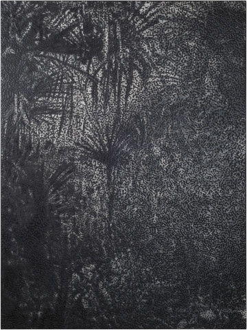 Daniel Boyd Untitled (MIPPWR), 2015; oil, charcoal and archival glue on polyester; 183 x 137.5 cm; enquire