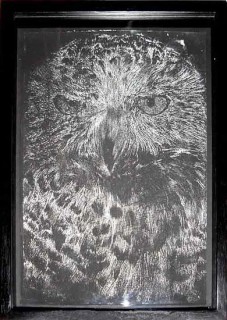 David Noonan Owl, 2003; gouache on paper; 29.5 x 21 cm; enquire