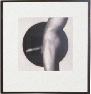 Robert Mapplethorpe Cock, 1984; MAP#1442; silver gelatin print; 40.5 x 51 cm; enquire