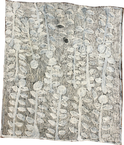 Nyapanyapa Yunupiŋu Trees White, 2011; 4078V; natural earth pigments on bark; 82 x 96 cm; enquire