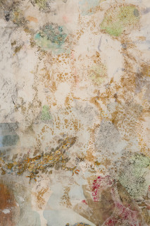John Wolseley Mimesis - Leaf-tailed geckos on bark, moss and lichen II (detail), 2025; watercolour, graphite, nature prints and found woodblock prints on paper; 102 x 83 cm; 120 x 101 cm (framed); enquire
