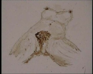 Julie Rrap Honey Ants, 1999; duration 1:30 minutes; Edition of 9; enquire