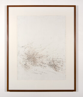 John Wolseley Burnt Scrub Trace No. I Allocasuarina, 2002; carbonised wood on paper; 77 x 57 cm; enquire