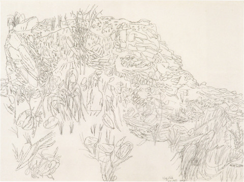 Geoff Lowe Whipstick, 1983; pencil on paper; 62 x 82 cm; enquire