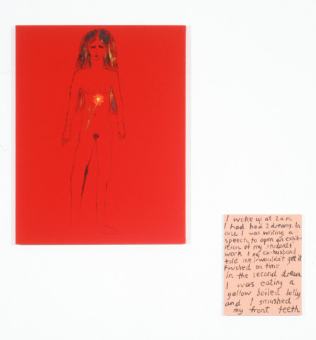 Jenny Watson Gentle Flowering and Text Panel, 1994; Oil on velvet; acrylic on stretcher; 98.5 x 76.5 cm; enquire