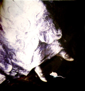 Anne Zahalka Untitled (mouse), 2001; colour print on canvas; 36 x 36 cm; Edition of 10; enquire