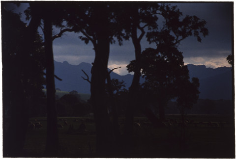 Bill Henson Untitled #41, 1994-95; CL SH70 N24; type C photograph; 127 x 180 cm; Edition of 5 + AP 2; Enquire