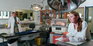 Patricia Piccinini Thesis and Conclusions, 2001; from the series Science Story; Type C colour photograph; 100 x 200 cm; (small format) 70 x 140 cm; Edition of 15; enquire