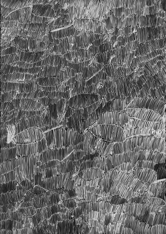 Nyapanyapa Yunupiŋu 36. Birrka'mirri 7, 2011; 4303B; paint pen on clear acetate plastic; 83.5 x 59.5 cm; enquire