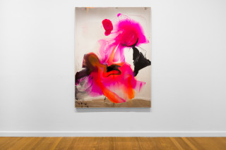 installation view; Dale Frank He was not lonely at all, daily surviving on prescribed marijana gummies, muscle supplements, and spending more hours than he should at the Community Pool Gym mens change room, 2026; colour powder pigments in Epoxyglass, Epoxyglass, on perspex; 200 x 150 cm; enquire