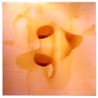 Dale Frank Jon Heder 2, 2006; varnish on canvas; 200 x 200 cm; enquire