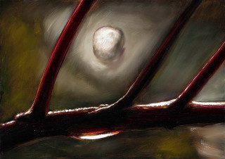 Louise Hearman Untitled #1281, 2009; oil on masonite; 61 x 86 cm; enquire