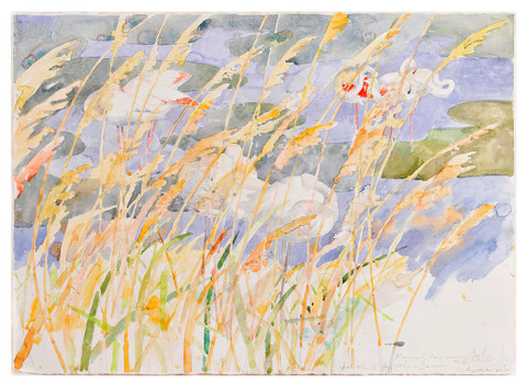 John Wolseley Flamants roses sommeillant au soleil, 2008; watercolour and graphite on paper; 55 x 77 cm; enquire