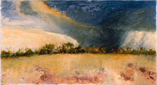 Mandy Martin Lunette on Edge of Lignum Swamp, 1997; oil, ochre, pigment on linen; 56 x 30 cm; enquire