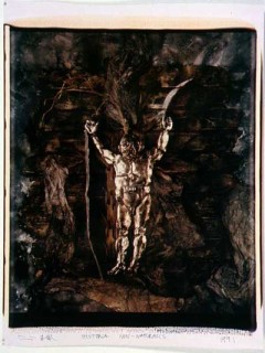 Fiona Hall Book XVI: Forest Trees, 1991; Polaroid photograph; 53 x 68 cm; enquire