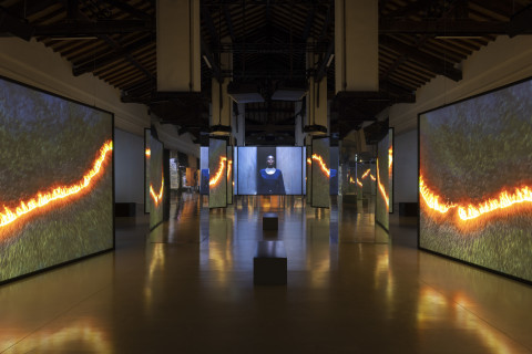 EXHIBITION: 'All That Changes You. Metamorphosis' at Palazzo Te, Italy