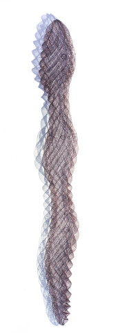 Bronwyn Oliver Boa, 2006; copper; 225 x 30 x 18 cm; enquire