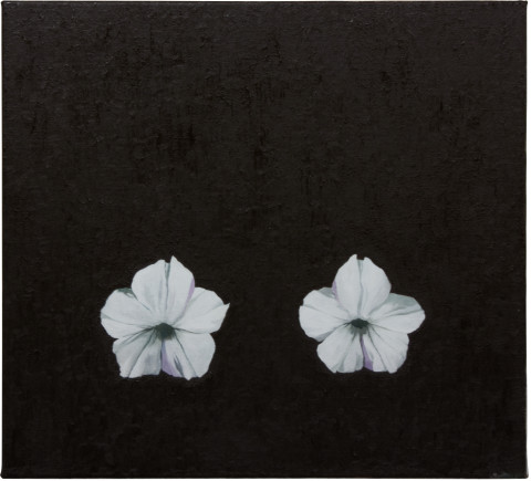 Glenn Sorensen Low Petunia, 2012; oil on linen; 40 x 44 cm; enquire