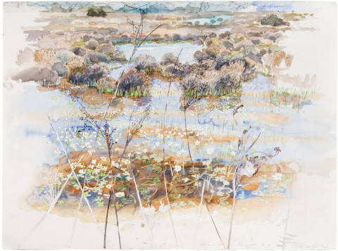 John Wolseley Salin de Badon with Water Crowfoot, 2009; watercolour on paper; 57 x 76 cm; enquire