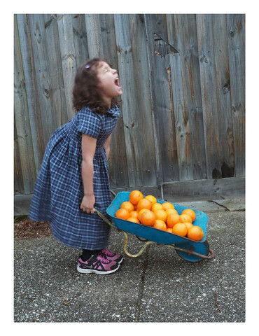 Destiny Deacon Howlin', 2014; Hahnemuhle photo rag; 98 x 75.5 cm; Edition of 5 + 2 APs; enquire