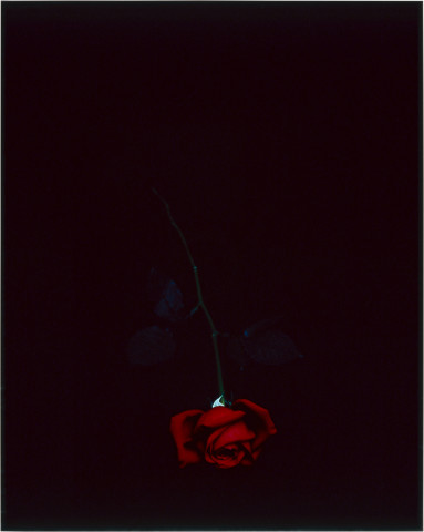 Anne MacDonald 12, 1993; from the series Ophelia; colour photograph; 72.5 x 57.5 cm; enquire