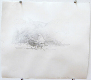 John Wolseley Two satin bower birds, 2000; pencil on paper; 28 x 31 cm; enquire