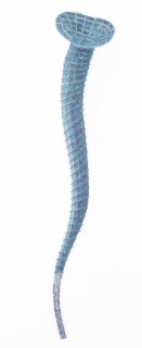 Bronwyn Oliver Flask, 1988; copper; 205 x 40 x 20 cm; enquire