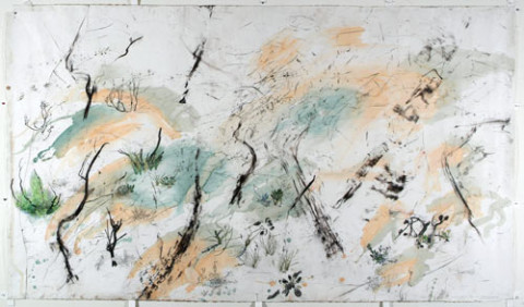John Wolseley 3. Burnt traces - Banksia, Broombush and Grevillea, 2004-05; watercolour, pencil and carbonised wood on paper; 153 x 264 cm (paper), 179 x 287 cm (framed); enquire