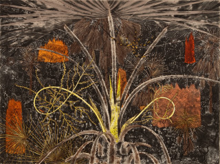 Fiona Hall Fan Palm, 2010; from the series Burning Bright; Etching on Hahnemuhle cotton rag paper; 79.5 x 94 cm; Image size: 49 x 66cm; Edition of 41 + AP 5; enquire