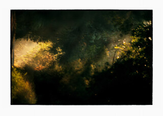 Bill Henson Untitled, 2008-09; CL SH531 N22; archival inkjet pigment print; 127 x 180 cm; Edition of 5 + AP 2; enquire