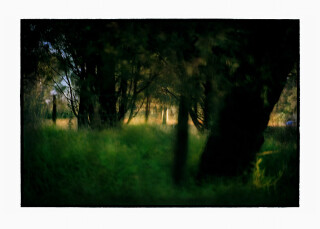 Bill Henson Untitled, 2008-09; CL SH524 N20B; archival inkjet pigment print; 127 x 180 cm; Edition of 5 + AP 2; enquire