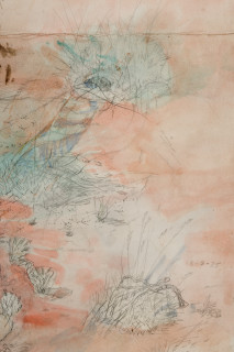 John Wolseley Great desert skink colony with map of basking mound, birthing pool and defecatorium (detail), 2025; watercolour, graphite, charcoal and ink on paper; 117 x 153 cm; 135 x 169 cm (framed); enquire