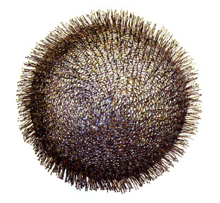 Bronwyn Oliver Cell, 1997; copper; 35 x 35 x 35 cm; enquire