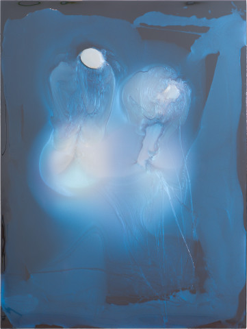 Dale Frank Marcus and Steven, 2021; Interference colour pigment in Epoxyglass, on Perspex; 200 x 150 cm; enquire