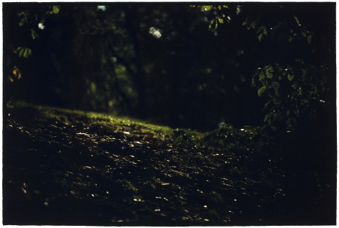 Bill Henson Untitled #25, 2007-08; CL SH597 N34; type C photograph; 127 x 180 cm; Edition of 5 + AP 2; enquire