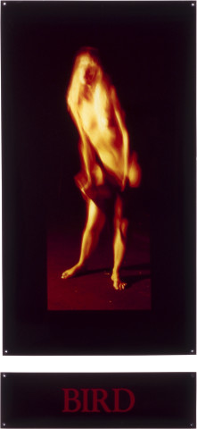 Christine Webster Game Bird, 1987; cibachrome prints; 182 x 176 cm; enquire