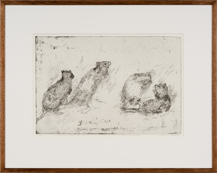 John Wolseley Lustful Bettongs Returning to Watikinpirri - Newhaven I, 2024; etching; 40 x 60 cm; 70 x 88 cm (framed); Edition of 40; enquire