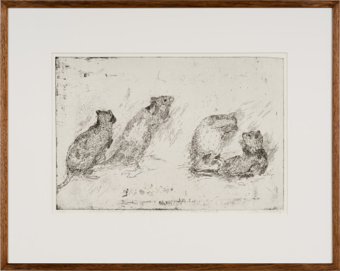 John Wolseley Lustful Bettongs Returning to Watikinpirri - Newhaven I, 2024; etching; 40 x 60 cm; 70 x 88 cm (framed); Edition of 40; enquire