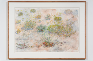 John Wolseley Tracks at Watikinpirri - mulgaras and honeyeaters pollinate the upside-down plants, 2025; watercolour and graphite on paper; 64 x 101 cm; 94 x 125 cm (framed); enquire