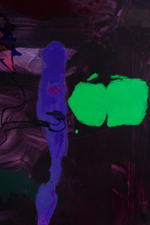 Tom Polo night garden (devour in the dark) (detail), 2026; acrylic Flashe on polycotton; 213 x 198 cm; enquire