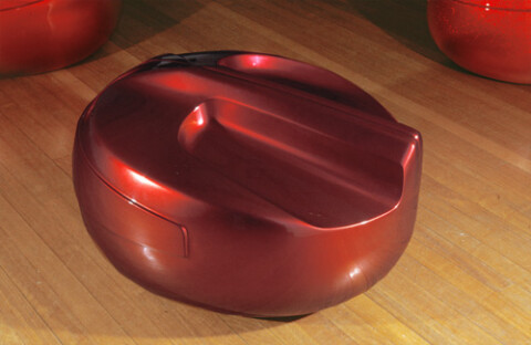 Patricia Piccinini Passion Flower, 2002; fiberglass and automotive paint; 55 x 88 x 72 cm; enquire