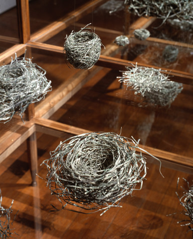 Fiona Hall Tender (detail), 2003-05; US dollars, wire, vitrines, vinyl lettering,; vitrine dimensions: 220 x 360 x 150cm; enquire