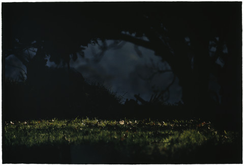 Bill Henson Untitled #28, 2005-06; CL SH481 N28; type C photograph; 127 x 180 cm; Edition of 5 + AP 2; Enquire