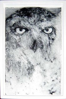 David Noonan Owl Snowy, 2003; gouache on paper; 37 x 24.5 cm; enquire